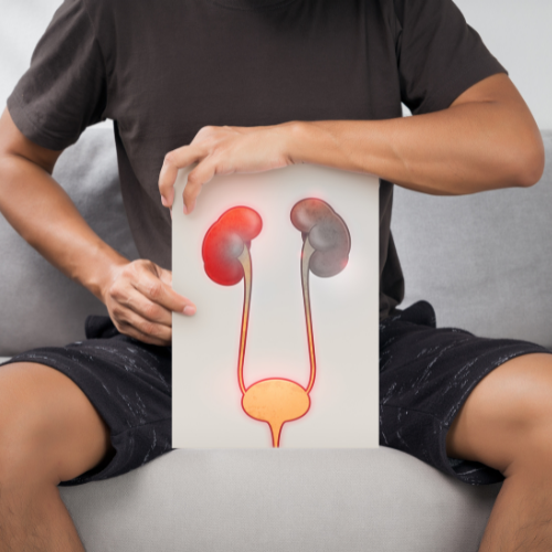 Best Sarvatobhadra vati tablets in Punjab 2023