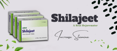 Best Shilajeet Powder In Punjab 2023