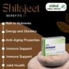 Unlock the Benefits of Shilajit with Nidco Herbal 2023